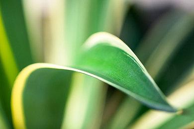 骑士与单车Steam＆Switch＆Xbox版7月20日发布决定